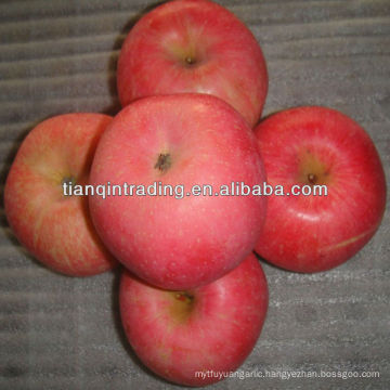 blush red fuji apple